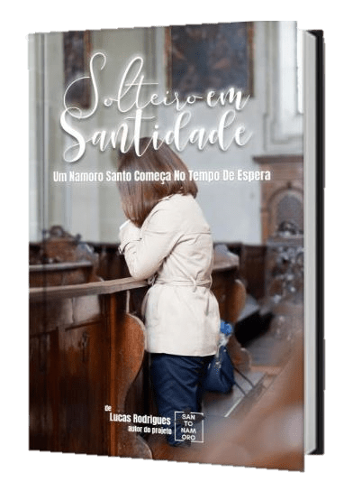 livro solteiro em santidade